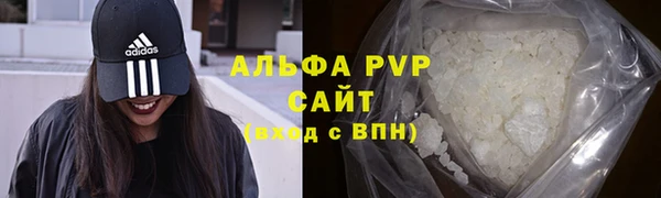 ECSTASY Абаза