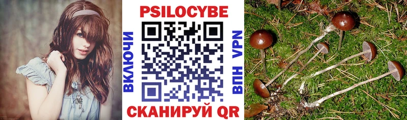 Псилоцибиновые грибы прущие грибы  Отрадная 